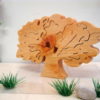 auboisfou_arbres_cedre